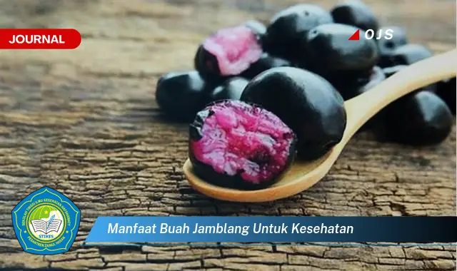 manfaat buah jamblang untuk kesehatan manfaat buah jamblang untuk kesehatan