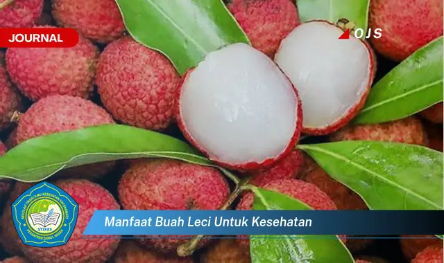 Intip 6 Manfaat Buah Leci untuk Kesehatan yang Wajib Kamu Ketahui - E-Journal