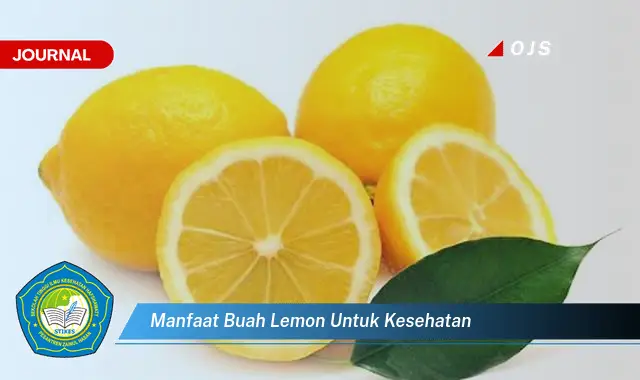 manfaat buah lemon untuk kesehatan manfaat buah lemon untuk kesehatan