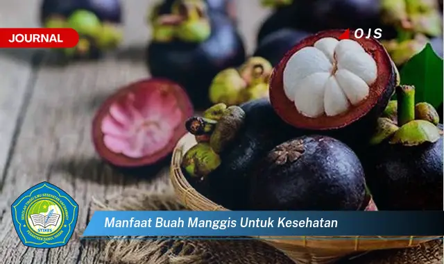 manfaat buah manggis untuk kesehatan