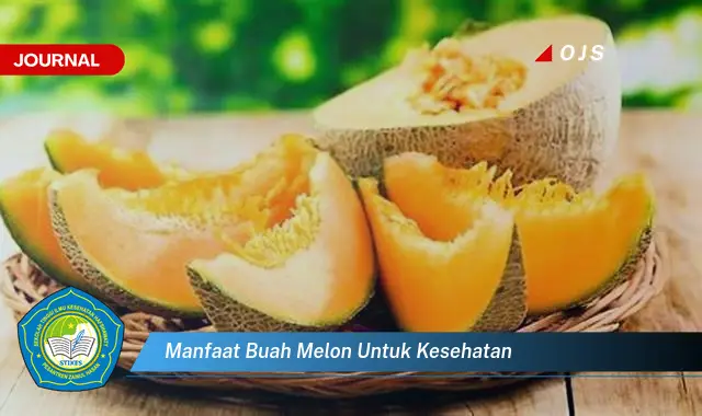 manfaat buah melon untuk kesehatan