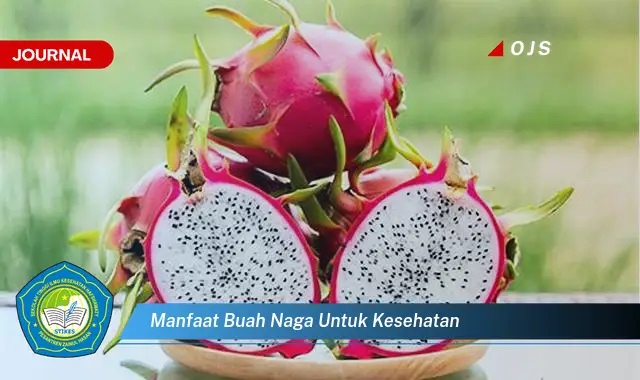 manfaat buah naga untuk kesehatan