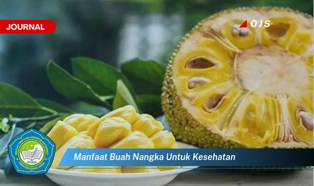 Intip 6 Manfaat Buah Nangka yang Bikin Kamu Penasaran - E-Journal