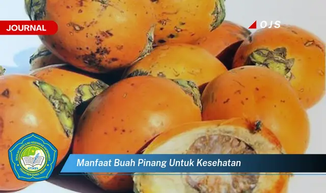 manfaat buah pinang untuk kesehatan manfaat buah pinang untuk kesehatan