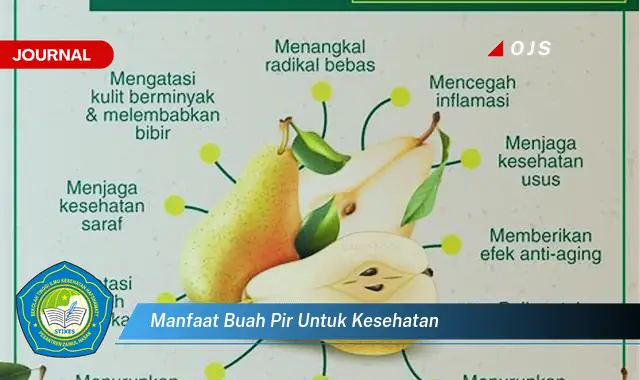 manfaat buah pir untuk kesehatan