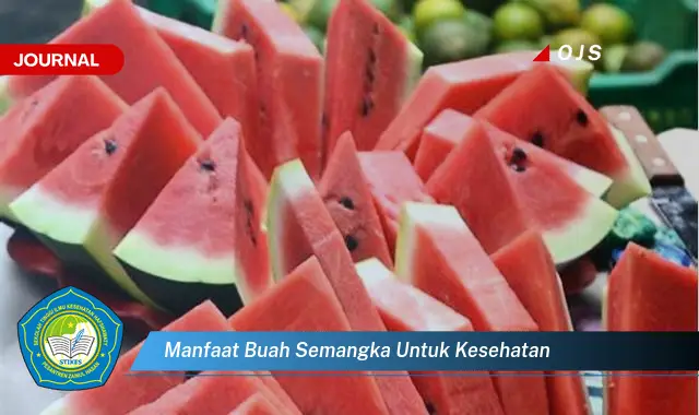 manfaat buah semangka untuk kesehatan