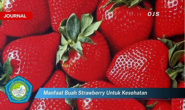 manfaat buah strawberry untuk kesehatan