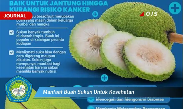 manfaat buah sukun untuk kesehatan manfaat buah sukun untuk kesehatan