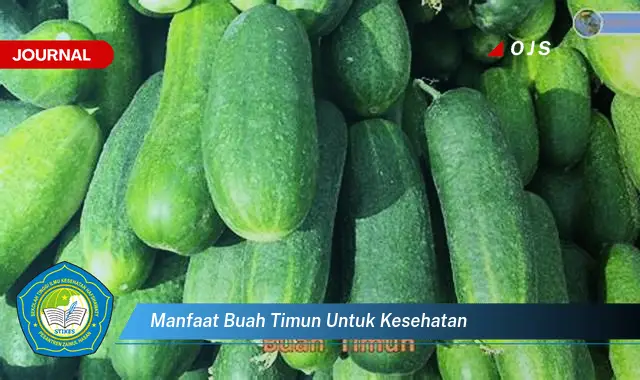 manfaat buah timun untuk kesehatan manfaat buah timun untuk kesehatan