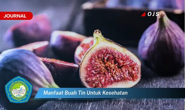 manfaat buah tin untuk kesehatan