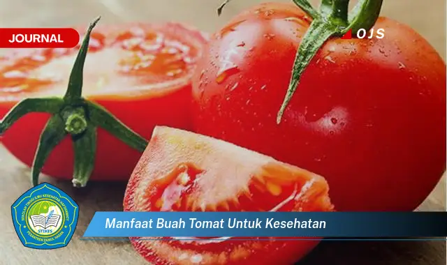 manfaat buah tomat untuk kesehatan