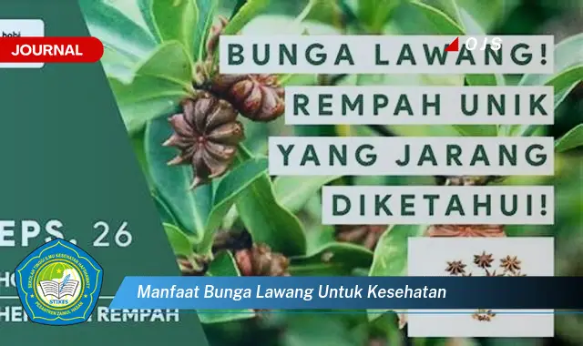 manfaat bunga lawang untuk kesehatan manfaat bunga lawang untuk kesehatan