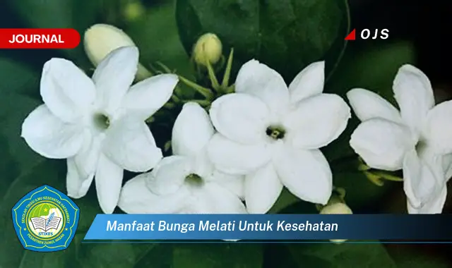 manfaat bunga melati untuk kesehatan