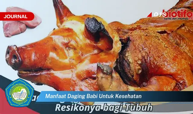 manfaat daging babi untuk kesehatan manfaat daging babi untuk kesehatan
