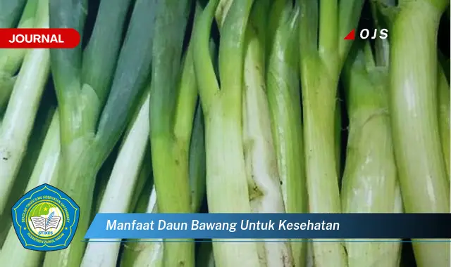 manfaat daun bawang untuk kesehatan