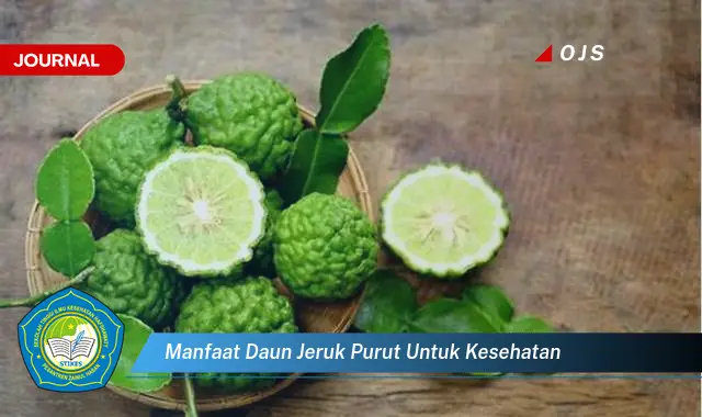 manfaat daun jeruk purut untuk kesehatan