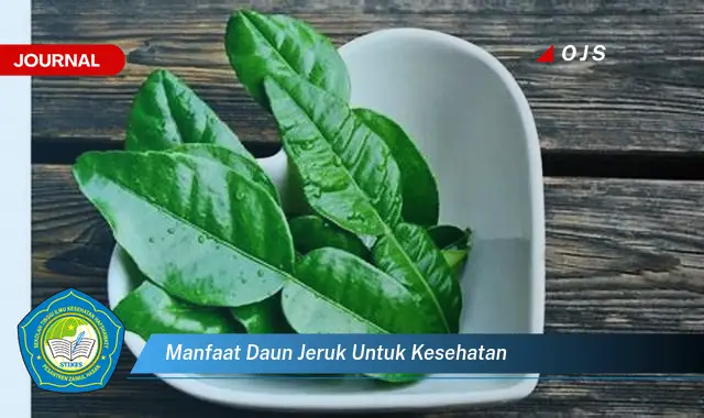 manfaat daun jeruk untuk kesehatan