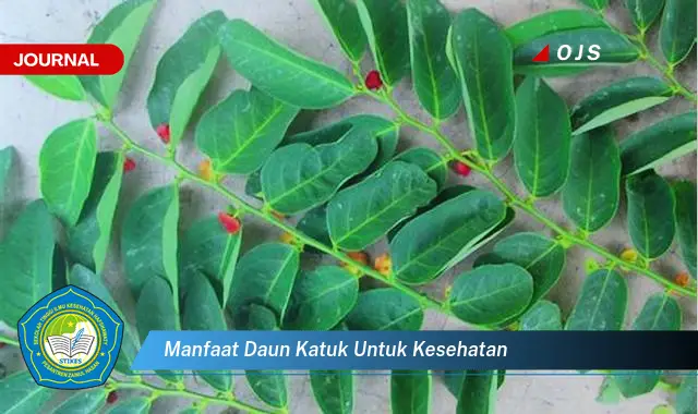 manfaat daun katuk untuk kesehatan