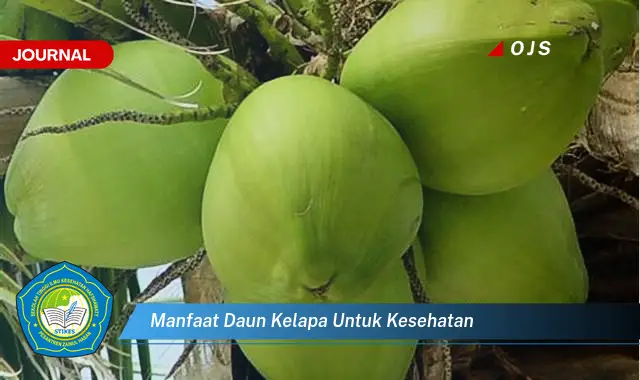 manfaat daun kelapa untuk kesehatan