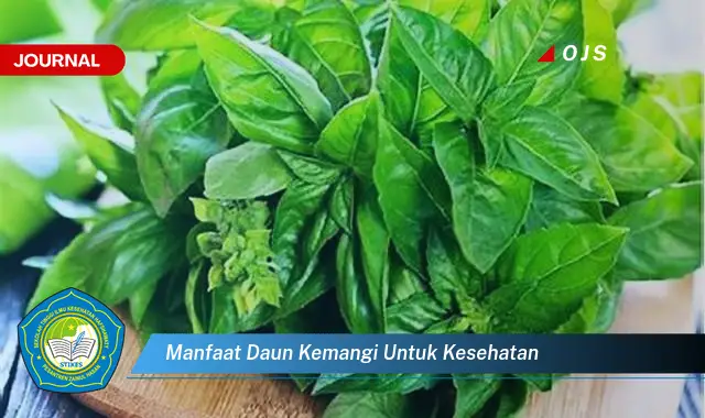 manfaat daun kemangi untuk kesehatan