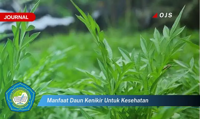 Intip 6 Manfaat Daun Kenikir untuk Kesehatan yang Bikin Kamu Penasaran - E-Journal