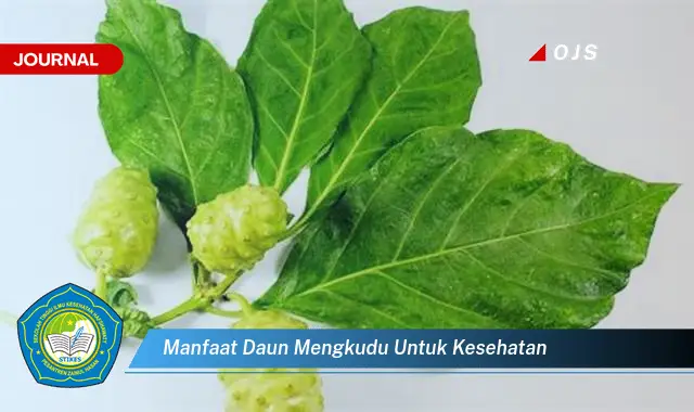 manfaat daun mengkudu untuk kesehatan