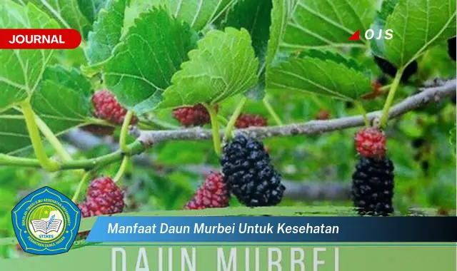 manfaat daun murbei untuk kesehatan