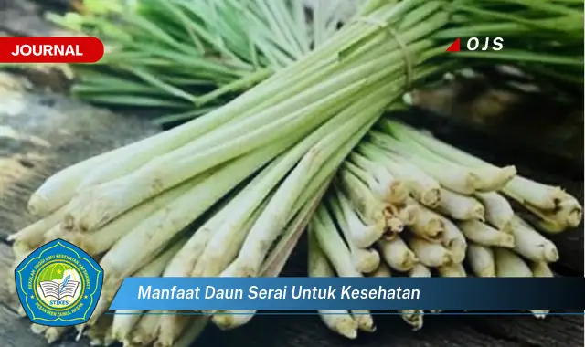 manfaat daun serai untuk kesehatan