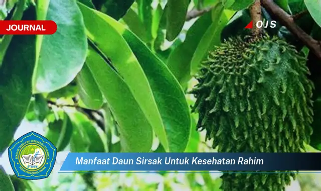 manfaat daun sirsak untuk kesehatan rahim