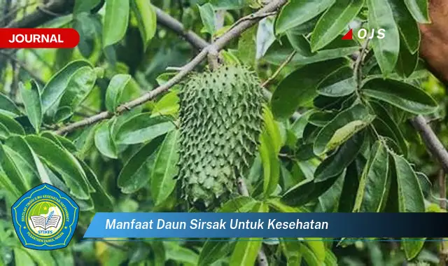 manfaat daun sirsak untuk kesehatan
