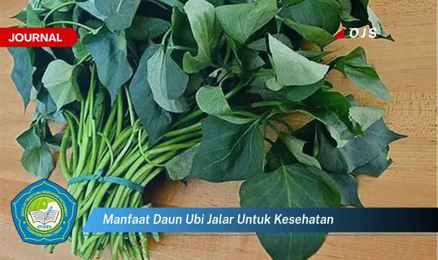 manfaat daun ubi jalar untuk kesehatan