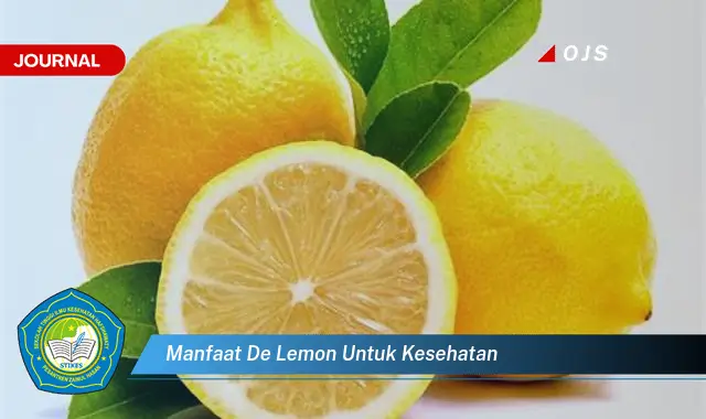 manfaat de lemon untuk kesehatan