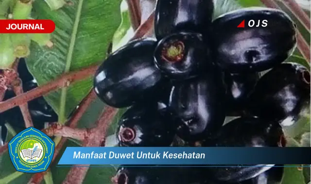 manfaat duwet untuk kesehatan