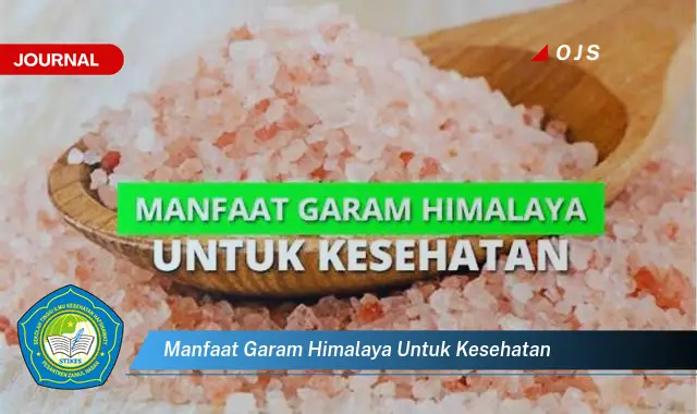 Temukan 6 Manfaat Garam Himalaya yang Bikin Kamu Penasaran! - E-Journal