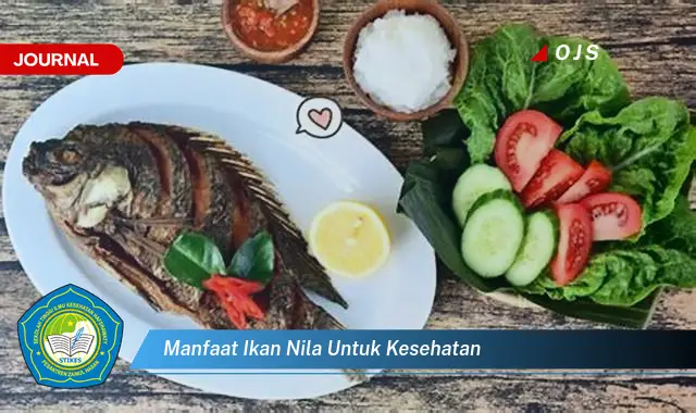 manfaat ikan nila untuk kesehatan