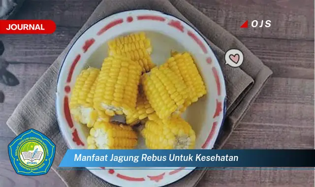 manfaat jagung rebus untuk kesehatan