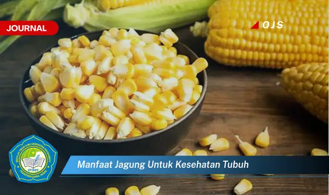 manfaat jagung untuk kesehatan tubuh