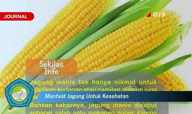 manfaat jagung untuk kesehatan