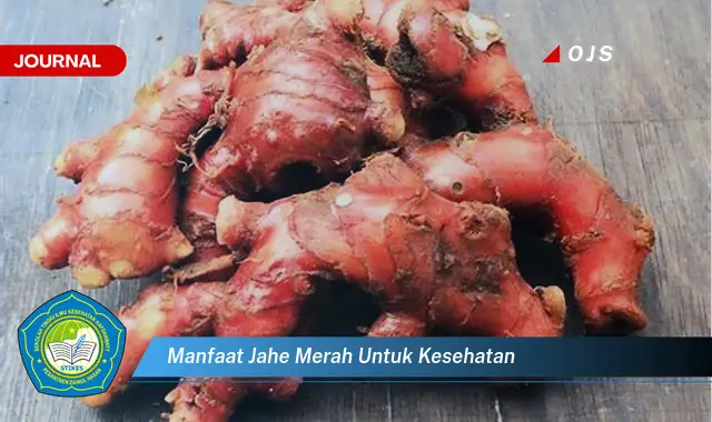 manfaat jahe merah untuk kesehatan