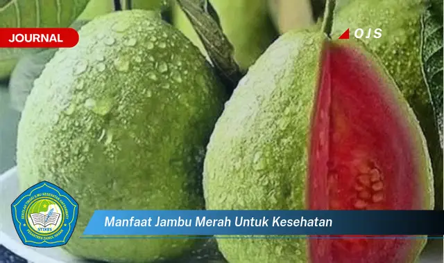 manfaat jambu merah untuk kesehatan