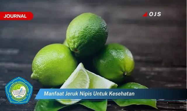 manfaat jeruk nipis untuk kesehatan