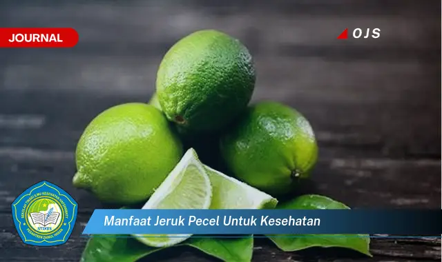manfaat jeruk pecel untuk kesehatan