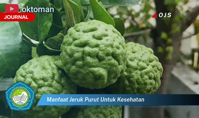 manfaat jeruk purut untuk kesehatan