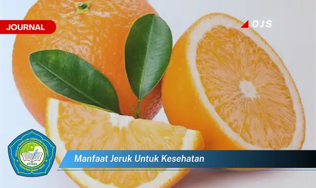 manfaat jeruk untuk kesehatan