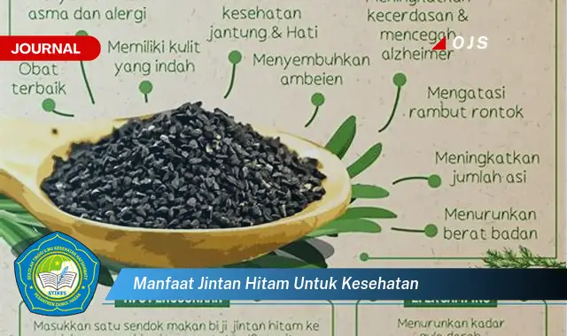 manfaat jintan hitam untuk kesehatan