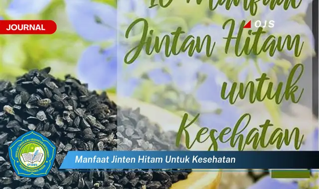 Intip 6 Manfaat Jinten Hitam untuk Kesehatan yang Bikin Kamu Penasaran - E-Journal