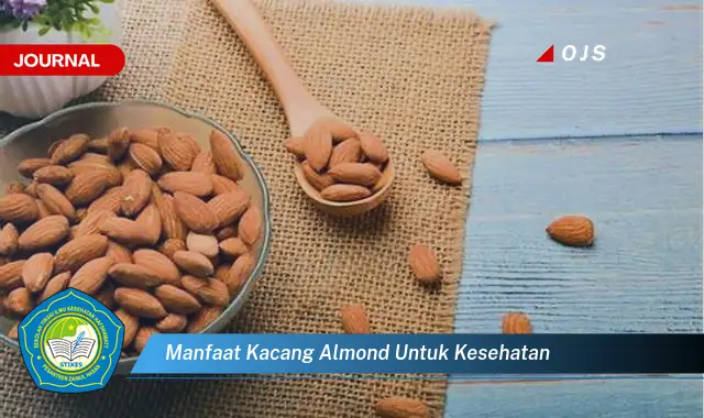 manfaat kacang almond untuk kesehatan