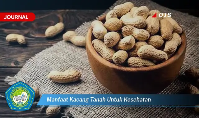 manfaat kacang tanah untuk kesehatan