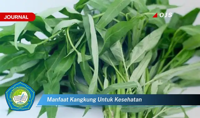 manfaat kangkung untuk kesehatan