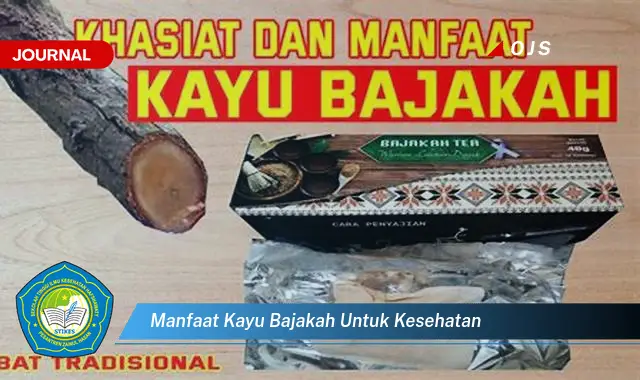 manfaat kayu bajakah untuk kesehatan